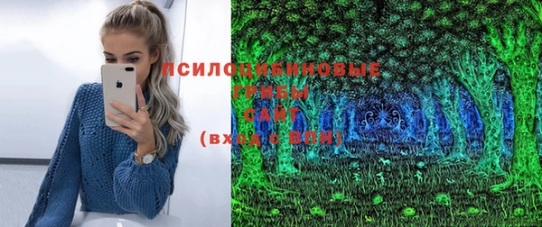 стаф Нея