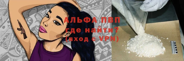 стаф Нея