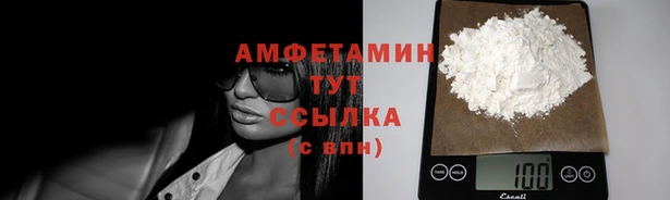 стаф Нея