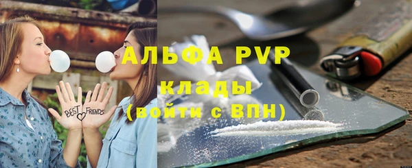стаф Нея