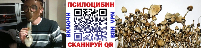 Галлюциногенные грибы мицелий  Нестеровская 